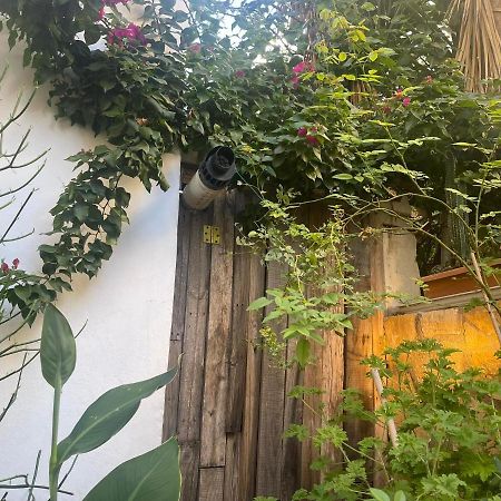 Eleonora'S Hidden Gem Apartment เอเธนส์ ภายนอก รูปภาพ