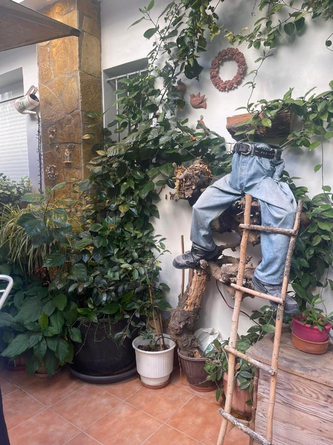Eleonora'S Hidden Gem Apartment เอเธนส์ ภายนอก รูปภาพ